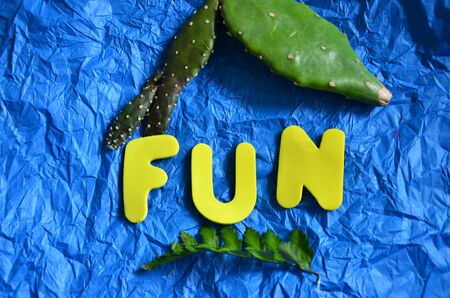 word funの写真素材