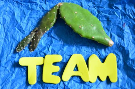word teamの写真素材