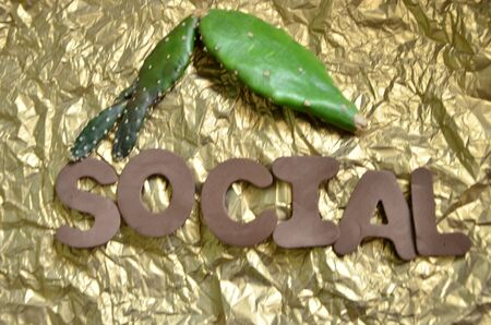 word socialの写真素材