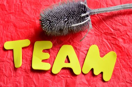 word teamの写真素材