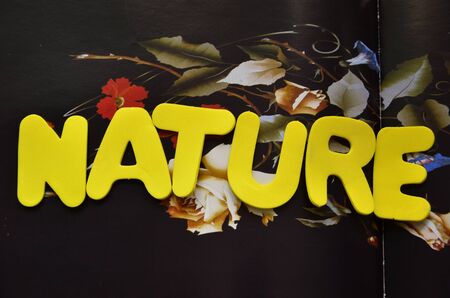 word natureの写真素材