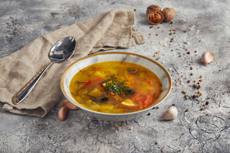 Russian and Ukrainian soup solyanka, spoon, light backgroundの写真素材