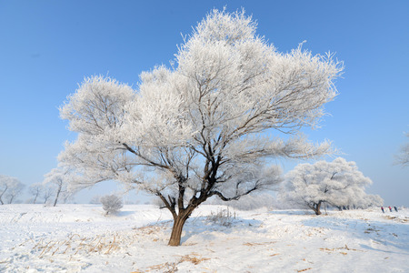 Jilin Rime Rime Islandの写真素材