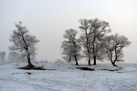 Jilin Rime Island scenery の写真素材