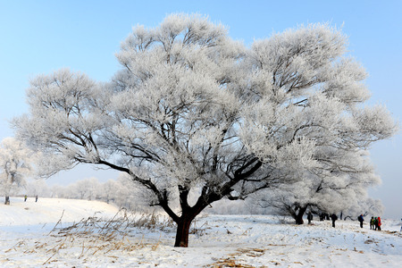 Jilin Rime Rime Island の写真素材