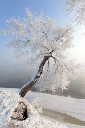 Jilin Rime Rime Island の写真素材