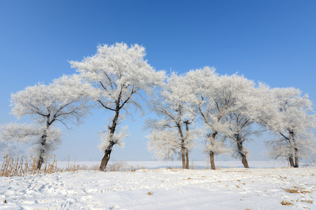 Jilin Rime Rime Island の写真素材
