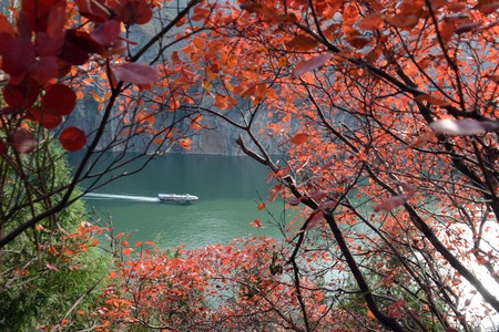 Scenery of autumn, Chongqingの写真素材