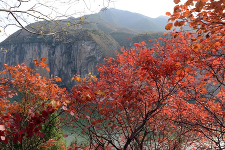 Scenery of autumn, Chongqingの写真素材
