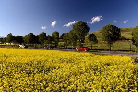 BOC car paintingの写真素材