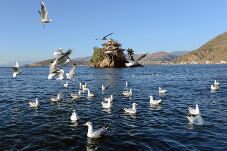 Erhai Lake in Yunnan provinceの写真素材