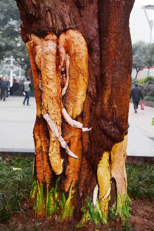 Wildlife portraits on a tree trunkのeditorial素材