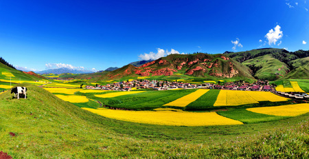 mountain scenery の写真素材