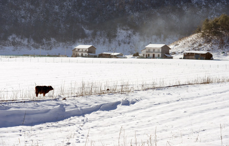 Hongchiba national forest park of Chongqing in winter sceneryの写真素材