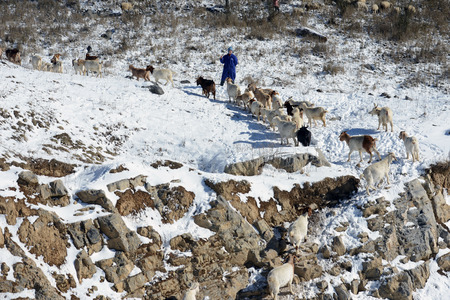 Hongchiba national forest park of Chongqing in winter sceneryのeditorial素材