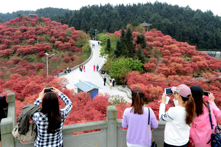Chongqing Wuzhou ecological garden sceneryのeditorial素材
