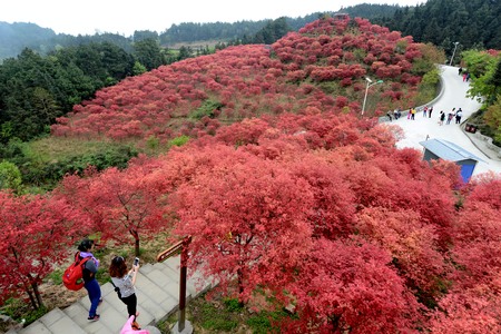 Chongqing Wuzhou ecological garden sceneryのeditorial素材