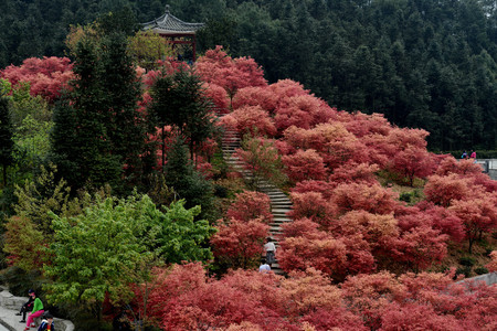 Chongqing Wuzhou ecological garden sceneryのeditorial素材