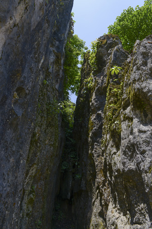 Sinan Stone Forest, Guizhouの写真素材