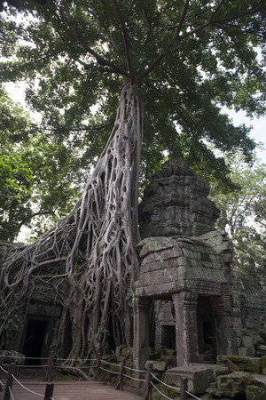 Angkor Thapung Templeの写真素材