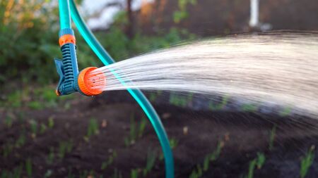 Gun for irrigation on the hose. Man watered the garden. Green nozzle for a hose with a red aerator.