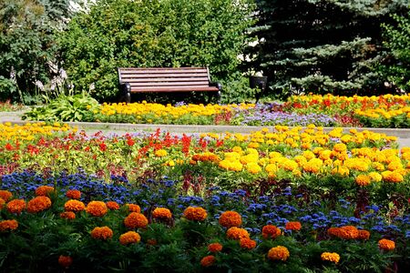 Beautiful park, bench for rest, a lot of colorful flowers. Sunny day.の写真素材