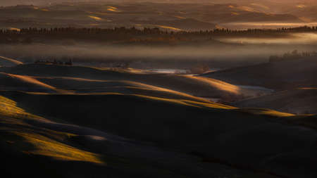 view of hills at dawn in Tuscanyの写真素材