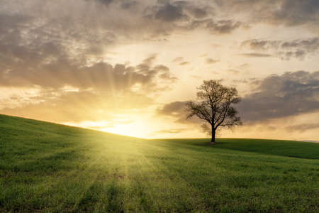 Tuscany - Landscape panorama, hills and meadow, Toscana - Italyの写真素材