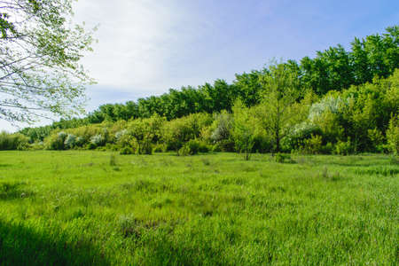 morning outdoorsの写真素材