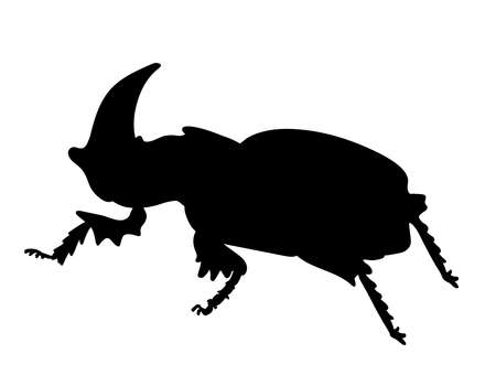 Rhinoceros beetle. Black hand drawn silhouette image.のイラスト素材