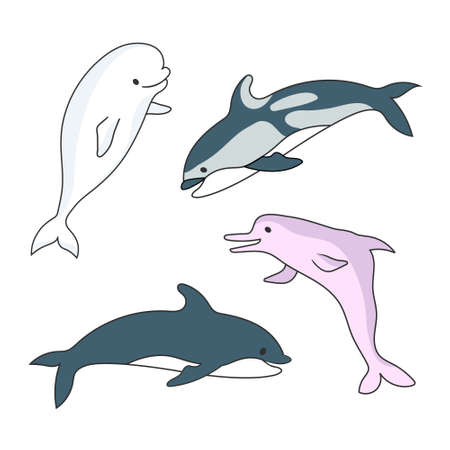 Four Dolphins. Vector drawing cartoon color image.のイラスト素材