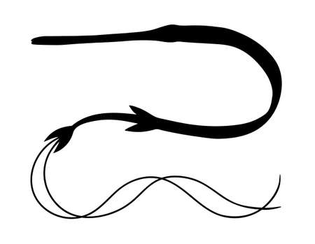 Ð¡ornetfish. Hand drawn realistic black silhouette illustration.のイラスト素材