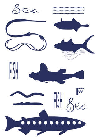 Different Fish Types. Dark blue vector silhouette image.のイラスト素材