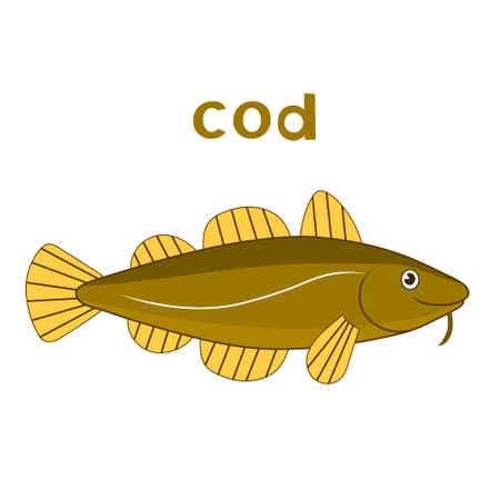 Cod fish. Vector cartoon color brown image.のイラスト素材