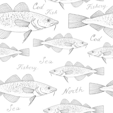 Cod. Black hand drawn realistic outline vector background.