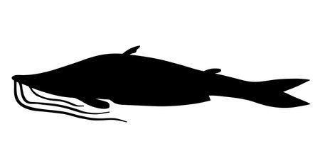 River fish Catfish. Black silhouette vector image.のイラスト素材