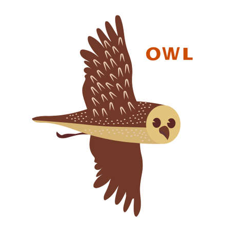 Owl bird. Vector cartoon color brown image.のイラスト素材