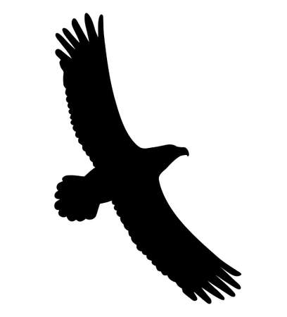 Eagle flying. Vector black drawing silhouette image.のイラスト素材