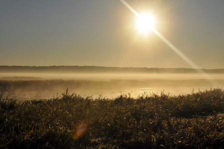 Poland  Bogs biebrzanskie の写真素材