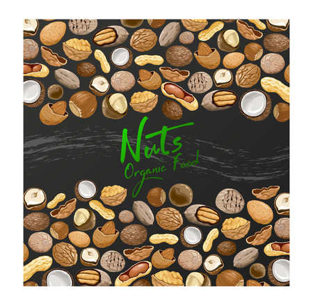 background with different types nuts. Nutrition and agriculture concept. Walnut, coconut, nutmeg, hazelnut, pecan, almond, peanut, macadamia.のイラスト素材