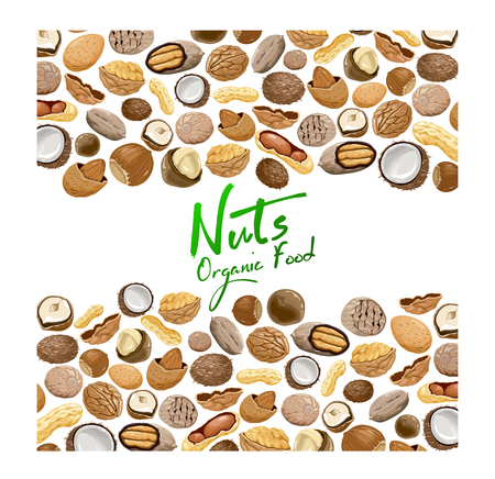 background with different types nuts. Nutrition and agriculture concept. Walnut, coconut, nutmeg, hazelnut, pecan, almond, peanut, macadamia. Pattern with seeds and nuts on a white background.のイラスト素材