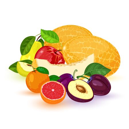 Vector fruits and berry: apple, pear, mandarin, tangerine, grapefruit, plum, melon. Vegetarian, vegan food isolated on white. Healthy meal Organic fresh products from market Summer harvestのイラスト素材