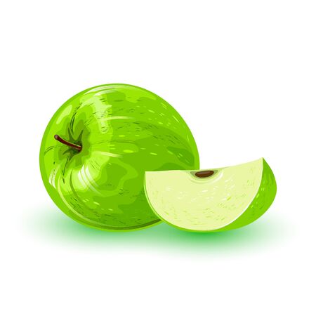 Fresh green apple and segment of it. Pomaceous fruit using for cooking jellies, jams, juice, candies, pies, cider, cakes. Cartoon vector icon isolated on white background. Healthy, vegetarian snack.のイラスト素材