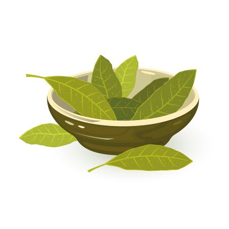 Aromatic green bay leaves are in porcelain bowl. Dried spice with distinctive flavour and fragrance, pungent, sharp, bitter taste using in cooking. Cartoon vector illustration isolated on white.のイラスト素材