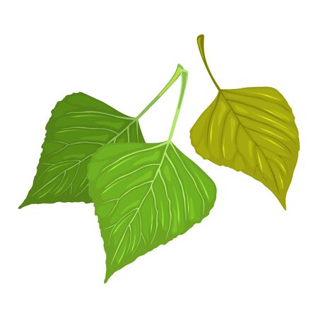 Falling and senescent green leaves of poplar tree. Ecological problems, environmental damage and pollution, deforestation, wildfires, nature protection concept. Cartoon vector isolated on white.のイラスト素材