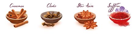 Vector set with assortment of brown, red asian dried spices, condiments and lettering cinnamon, cloves, star anise, saffron. Cartoon collection isolated on white background.のイラスト素材