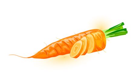 Three fresh carrots with leaves. Orange root vegetable with sweet flavor using for salads, cakes, puddings, added roast, fried to different dishes. Cartoon vector icon isolated on white background.のイラスト素材
