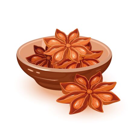 Dry star anise seeds or badian are in ceramic bowl. Natural condiment, asian spice using in cooking and as oil in cosmetics, perfumery. Vector cartoon illustration isolated on white background.のイラスト素材