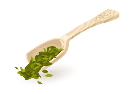 Mint for herbal tea or bay leaves spilling out from kitchen shovel, ladle, bailer. Wooden or plastic scoop with green cardamom or cardamon pods. Vector cartoon illustration isolated on white.のイラスト素材