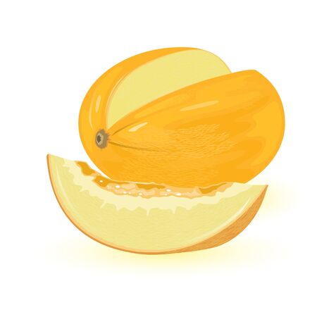 Yellow oval shaped melon with slice of it. Sweet edible fleshy fruit with seeds. Delicious summer snack. Vector illustration isolated on white for farm market label, menu, cookbook, packing design.のイラスト素材